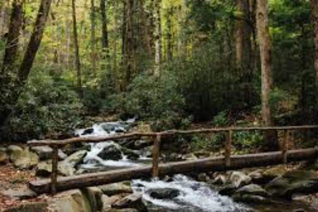 Вілла Honeymoon Getaway In Woods Near Noc And Smoky Mtn Rr Брайсон-Сіті Екстер'єр фото